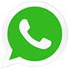 WhatsApp icon